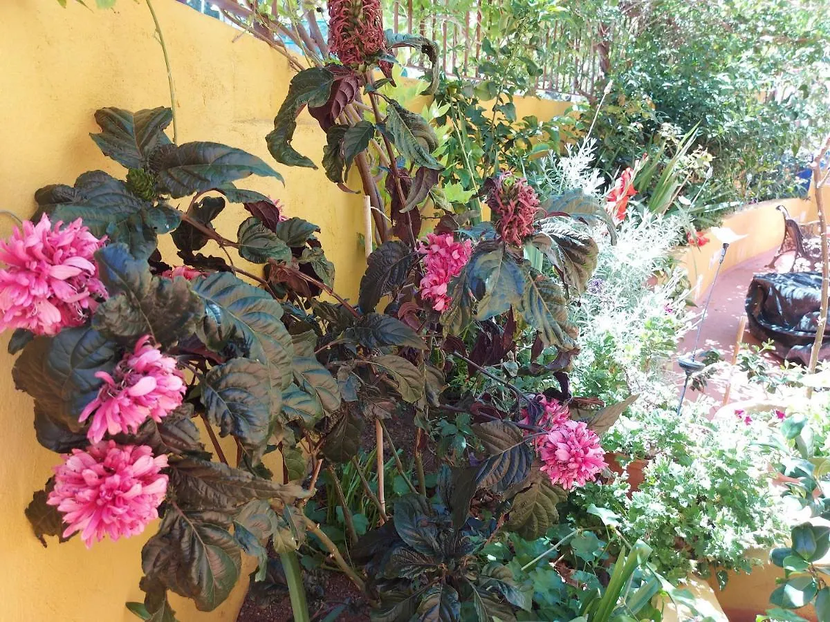 לאס פאלמס דה גראן קנאריה Casa Maestro Lelo - Acogedora Casa Rural Canaria Con Patios Y Jardines De Flores 0*, לאס פאלמס דה גראן קנאריה ספרד