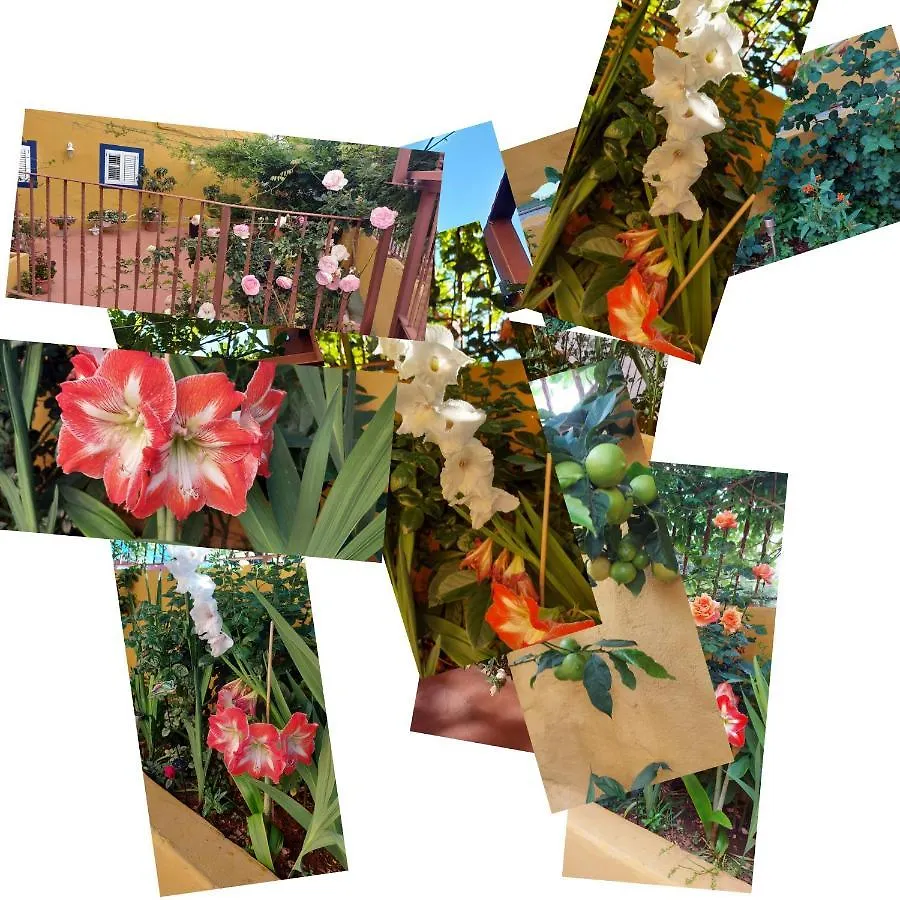 בית נופש לאס פאלמס דה גראן קנאריה Casa Maestro Lelo - Acogedora Casa Rural Canaria Con Patios Y Jardines De Flores ספרד