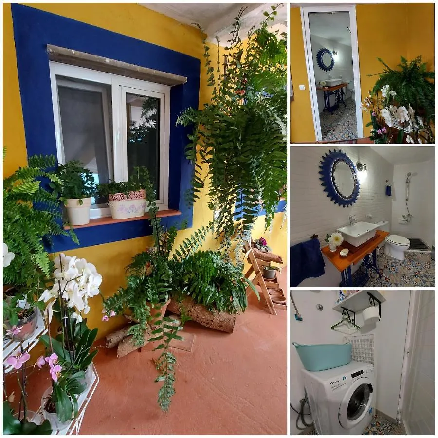לאס פאלמס דה גראן קנאריה Casa Maestro Lelo - Acogedora Casa Rural Canaria Con Patios Y Jardines De Flores 0*, לאס פאלמס דה גראן קנאריה