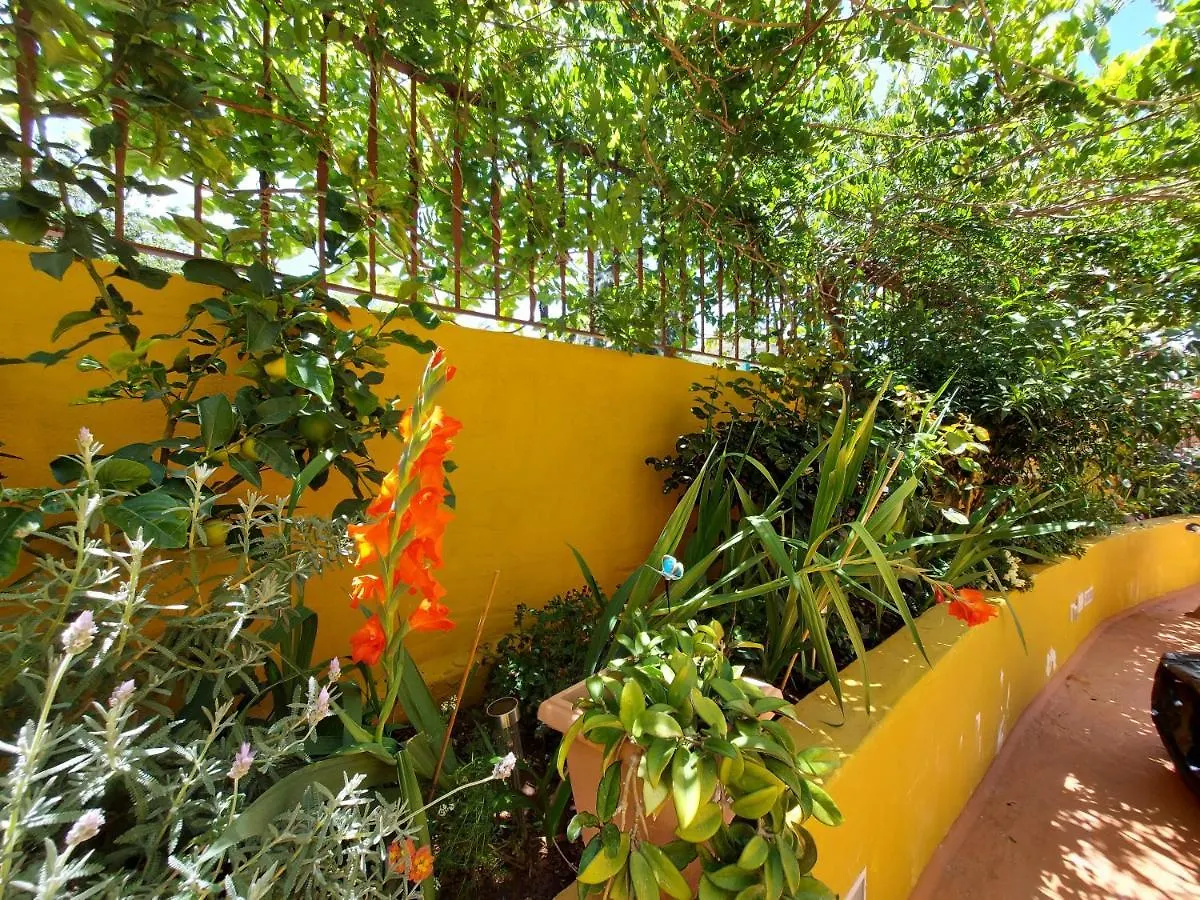 לאס פאלמס דה גראן קנאריה Casa Maestro Lelo - Acogedora Casa Rural Canaria Con Patios Y Jardines De Flores ספרד